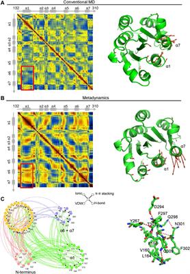 Identification of Oleanolic Acid as Allosteric Agonist of Integrin αM by Combination of In Silico Modeling and In Vitro Analysis